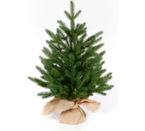 Ель CRYSTAL TREES ПЕРСЕЯ 90 см KP1190