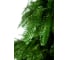 Ель CRYSTAL TREES ВЕРСАЛЬСКИЕ ОГНИ 185 см KP22185 2
