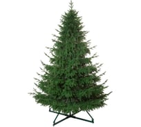 Ель CRYSTAL TREES ШОТЛАНДИЯ 250 см, подставка KP4725