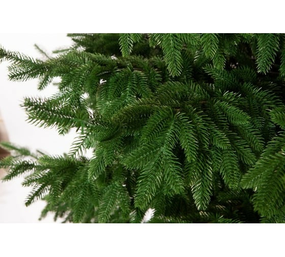 Ель CRYSTAL TREES ШОТЛАНДИЯ 300 см, подставка KP4730