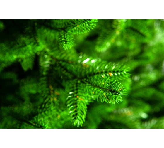 Ель CRYSTAL TREES ПРОВАНС 150 см KP25150