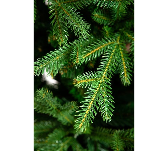 Ель CRYSTAL TREES МЕЛЬБУРН 230 см KP28230