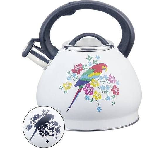 Металлический чайник Rainstahl RS\WK 7628-30 со свистком 3,0 л с декором, меняет цвет 7628-30RS\WK