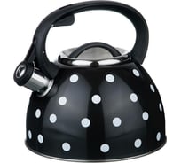 Чайник 2.5 л Union 22BT967BL