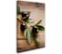Постер Студия фотообоев Ветка Оливы 75x120 2430850 1