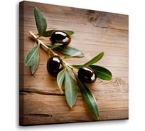 Постер Студия фотообоев Ветка Оливы 50x50 2330850