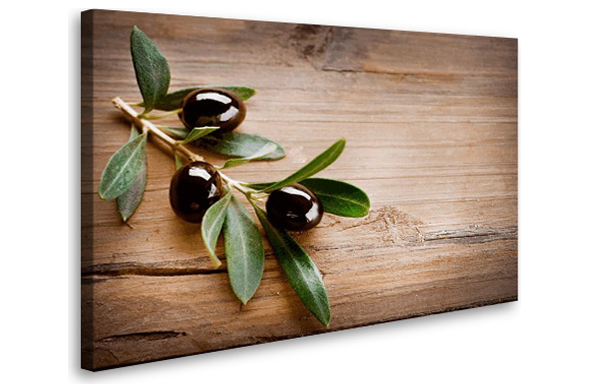 Podar olivo decorativo