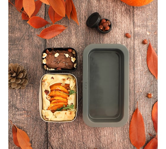 Силиконовые формы для ланч-боксов Monbento MB Silicase серые 26230030