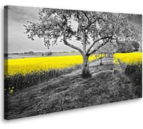 Постер Студия фотообоев Солнечное поле 50x80 2129019