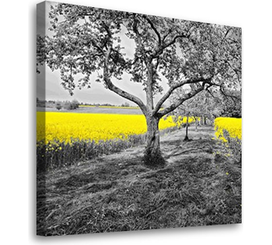 Постер Студия фотообоев Солнечное поле 50x50 2329019