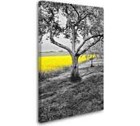 Постер Студия фотообоев Солнечное поле 80x50 2229019