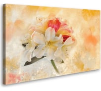 Постер Студия фотообоев Яблоневый цвет 50x80 2127692