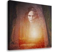 Постер Студия фотообоев Чарующий лес 50x50 2329310