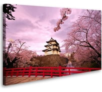 Постер Студия фотообоев Цветущая Япония 75x120 2429273