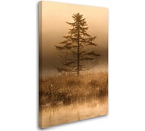 Постер Студия фотообоев Туманный пейзаж 120x75 2536348