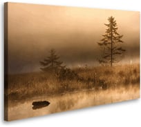 Постер Студия фотообоев Туманный пейзаж 50x80 2136348