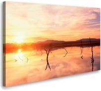 Постер Студия фотообоев Розовый закат 75x120 2435852