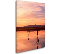 Постер Студия фотообоев Розовый закат 80x50 2235852