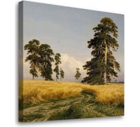 Постер Студия фотообоев Поле, 50x50 см 2322558