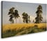 Постер Студия фотообоев Поле, 75x120 см 2422558 1