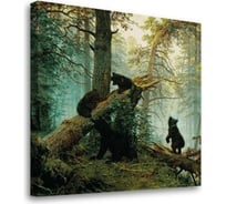 Постер Студия фотообоев Мишки, 50x50 см 2322552