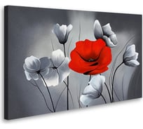 Постер Студия фотообоев Красный мак, 50x80 см 2127696