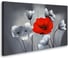 Постер Студия фотообоев Красный мак, 50x80 см 2127696 1