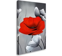 Постер Студия фотообоев Красный мак, 80x50 см 2227696