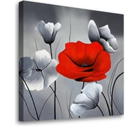 Постер Студия фотообоев Красный мак, 50x50 см 2327696