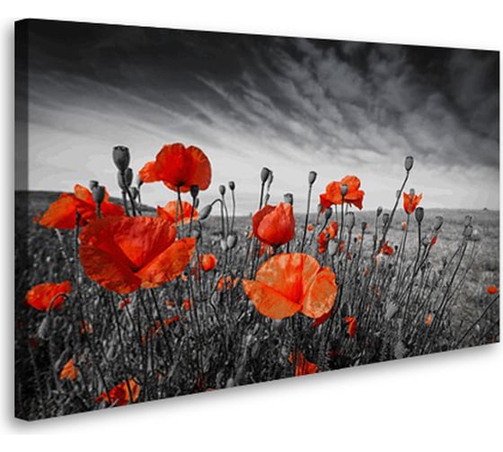 Постер Студия фотообоев Маки, 50x80 см 2128834