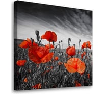 Постер Студия фотообоев Маки, 50x50 см 2328834