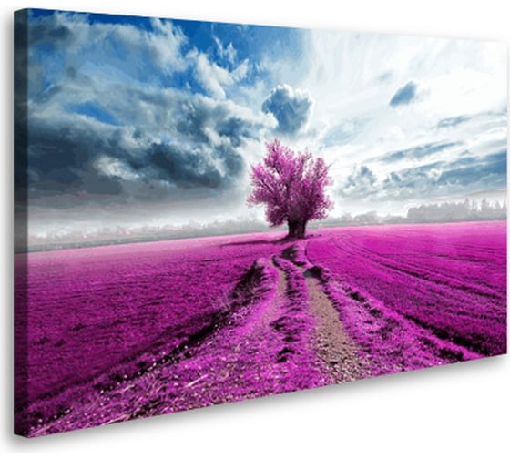 Постер Студия фотообоев Лавандовое поле, 50x80 см 2136260 1