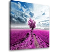 Постер Студия фотообоев Лавандовое поле, 50x50 см 2336260
