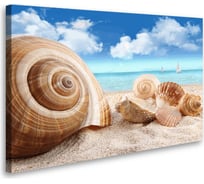 Постер Студия фотообоев Ракушки, 75x120 см 2435585