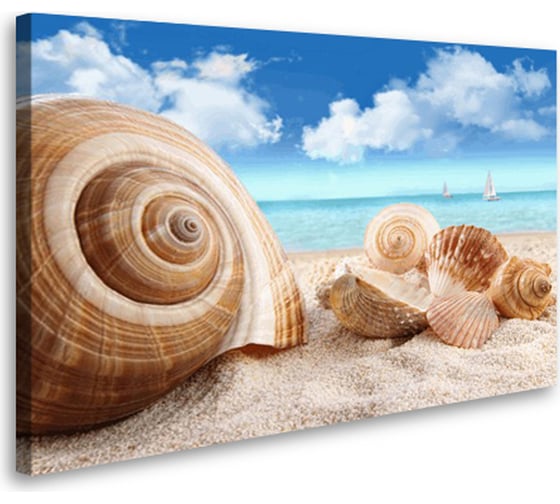 Постер Студия фотообоев Ракушки, 75x120 см 2435585