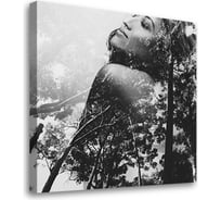 Постер Студия фотообоев Мечты о лесе, 50x50 см 2333748