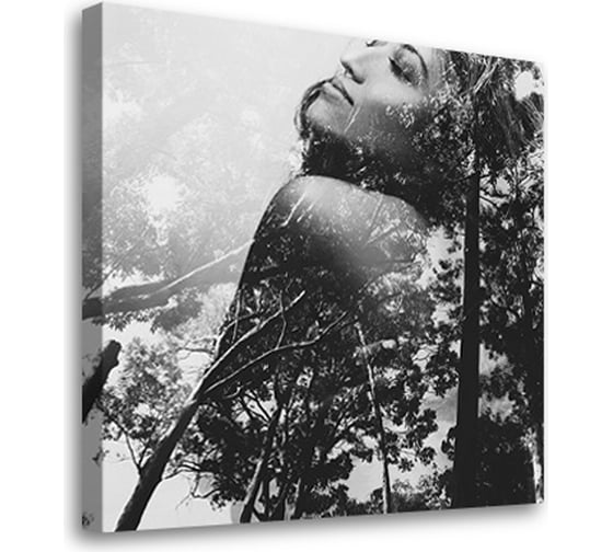Постер Студия фотообоев Мечты о лесе, 50x50 см 2333748