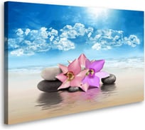 Постер Студия фотообоев Орхидеи на пляже, 50x80 см 2136484