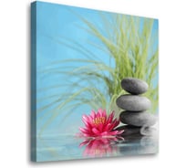 Постер Студия фотообоев Кувшинка, 50x50 см 2336574