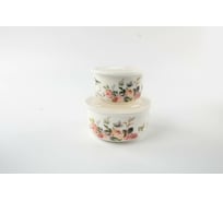 Набор Balsford (2) салатник 280 мл + салатник 540 мл с пластиковыми крышками, цветная упаковка 178-43066