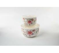 Набор Balsford (2) салатник 280 мл + салатник 540 мл с пластиковыми крышками, цветная упаковка 178-43080