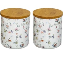 Набор из двух банок для сыпучих продуктов Balsford NEW BONE CHINA 1350 мл с бамбуковыми крышками, цветная упаковка 178-43062