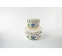 Набор Balsford (2) салатник 280 мл + салатник 540 мл с пластиковыми крышками, цветная упаковка 178-43072