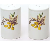 Набор для специй Balsford NEW BONE CHINA солонка + перечница, 80 мм, цветочный орнамент, цветная упаковка 104-03103