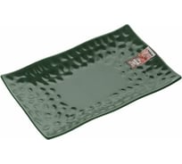 Керамическое прямоугольное блюдо PERFECTO LINEA Asian 225x145 мм зеленый 17-102254