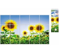 Защитная пленка-стикер PERFECTO LINEA TL-209 75x45 см 11-120900 23548623