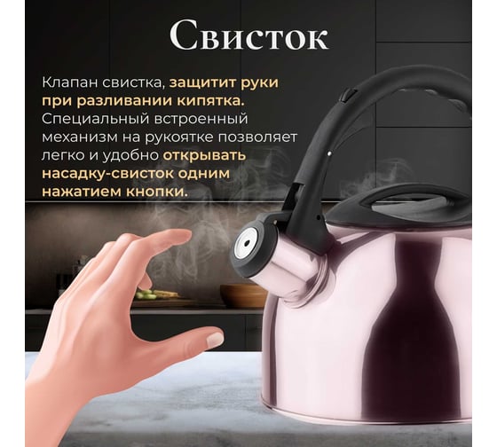 Чайник PERFECTO LINEA Holiday со свистком 2.5 л 52-025018