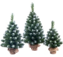 Настольная ель MAX CHRISTMAS Max Christmas Канадская 0.5 м ЕНК 05