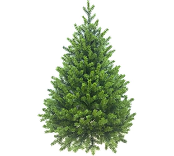 Настенная ель MAX CHRISTMAS Max Christmas Изящная 0.9 м ЕНСИ 09 1