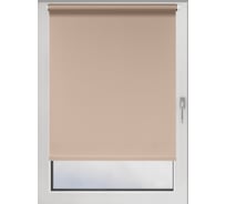 Рулонная штора PRAKTO Easy 100x160 см, серый 8316935